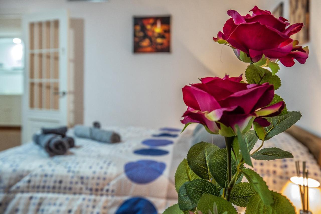 Apartmán La Perla Del Centro Córdoba Exteriér fotografie
