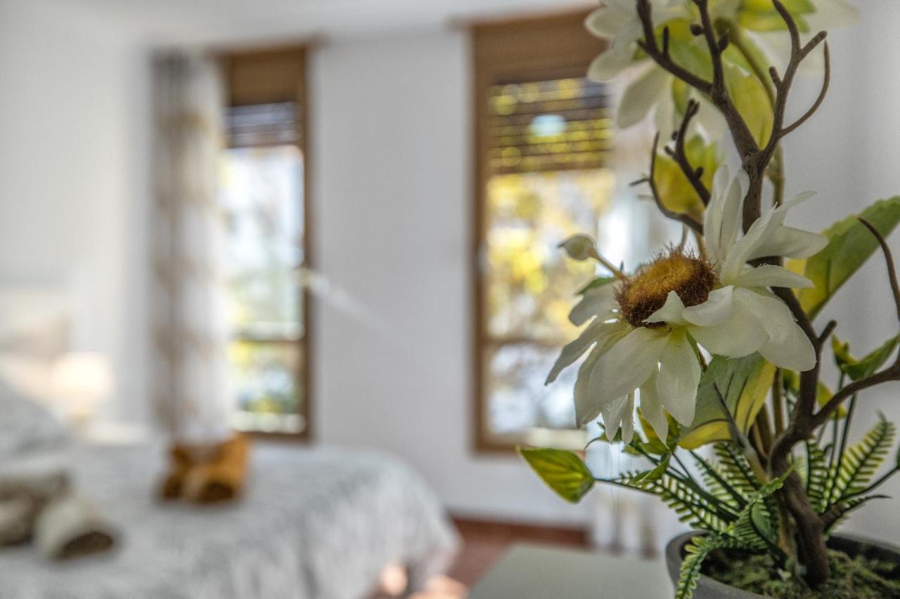 Apartmán La Perla Del Centro Córdoba Exteriér fotografie